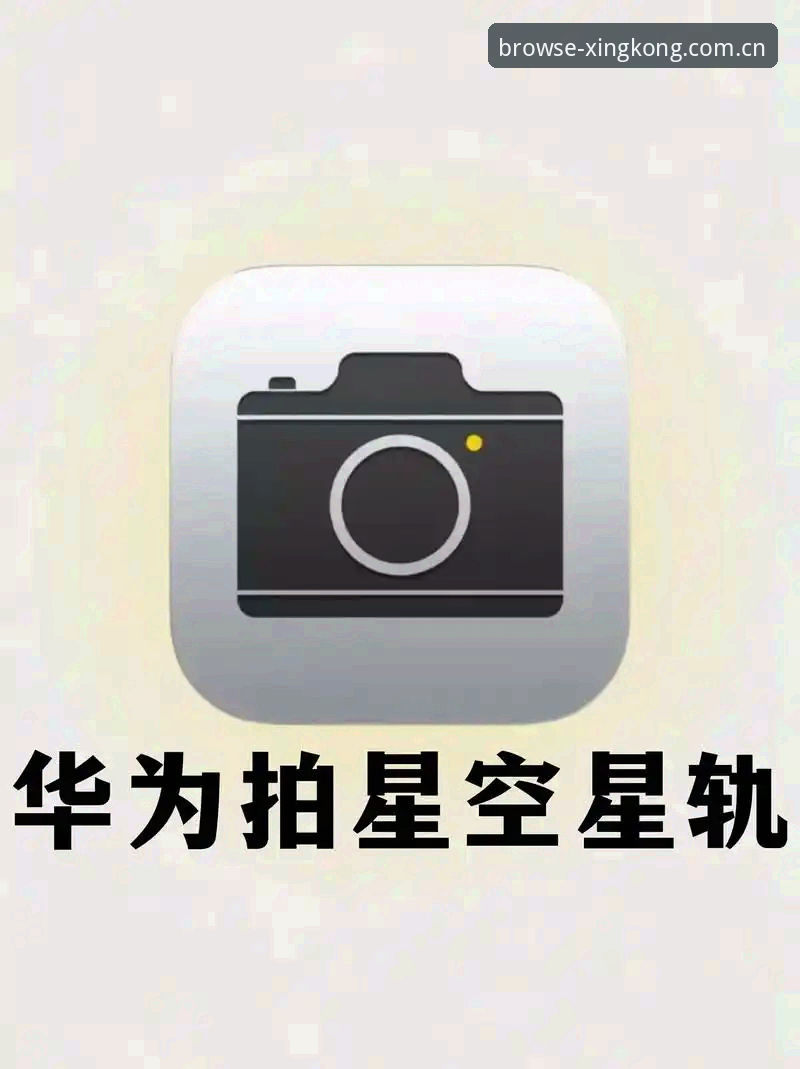 星空平台赛事数据下载操作教程：实战者视角的深度解析