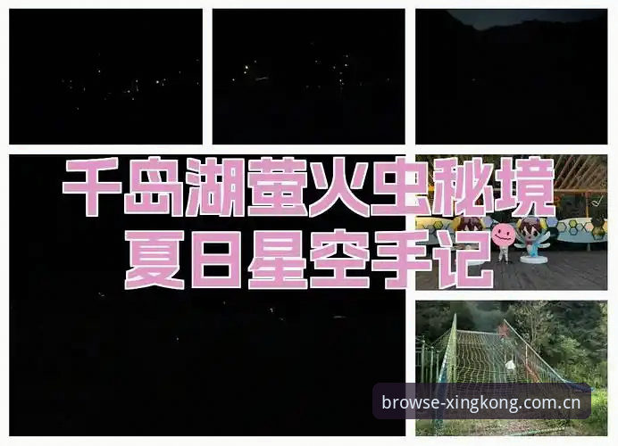 XINGKONG赛事数据下载教程 星空娱乐平台赛事数据下载深度评测:一个老用户的真实使用手记