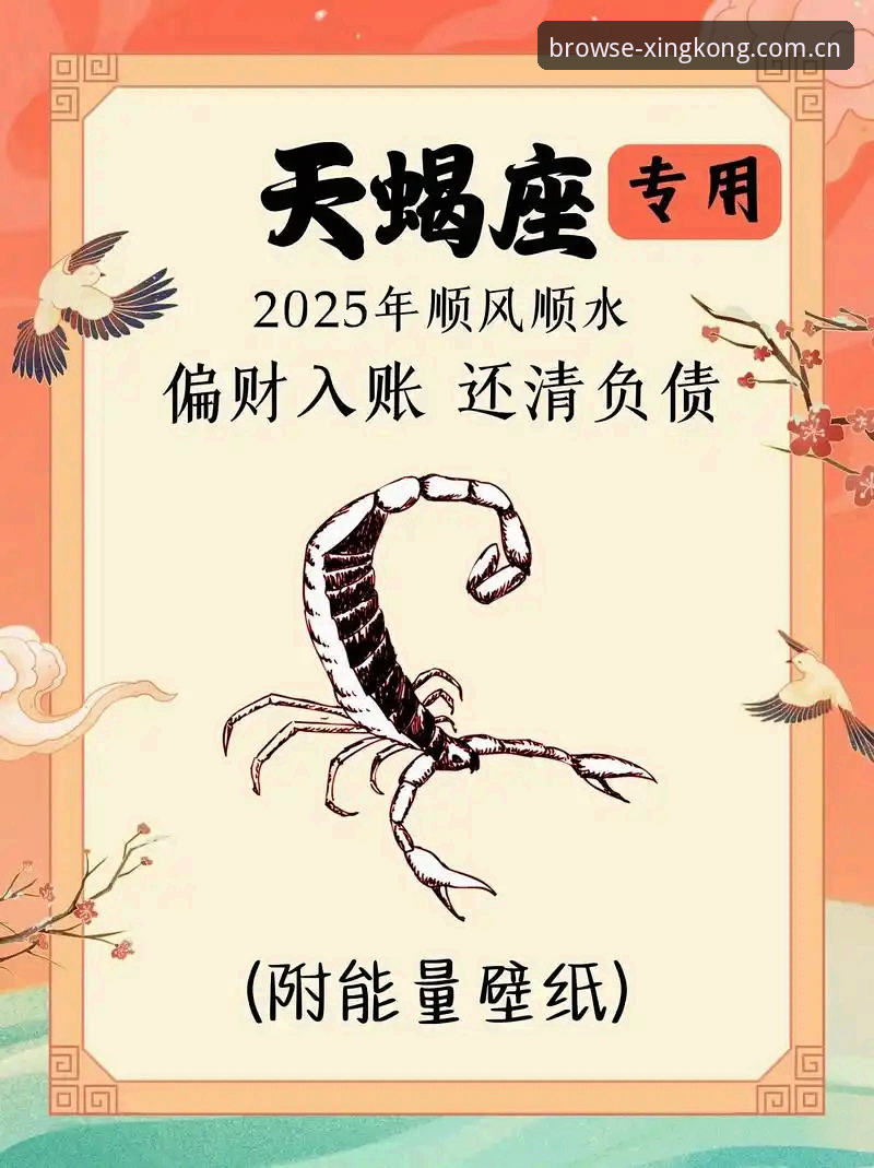星空娱乐平台 vs 传统赛事数据平台：2025版“浏览更轻松”到底赢在哪？